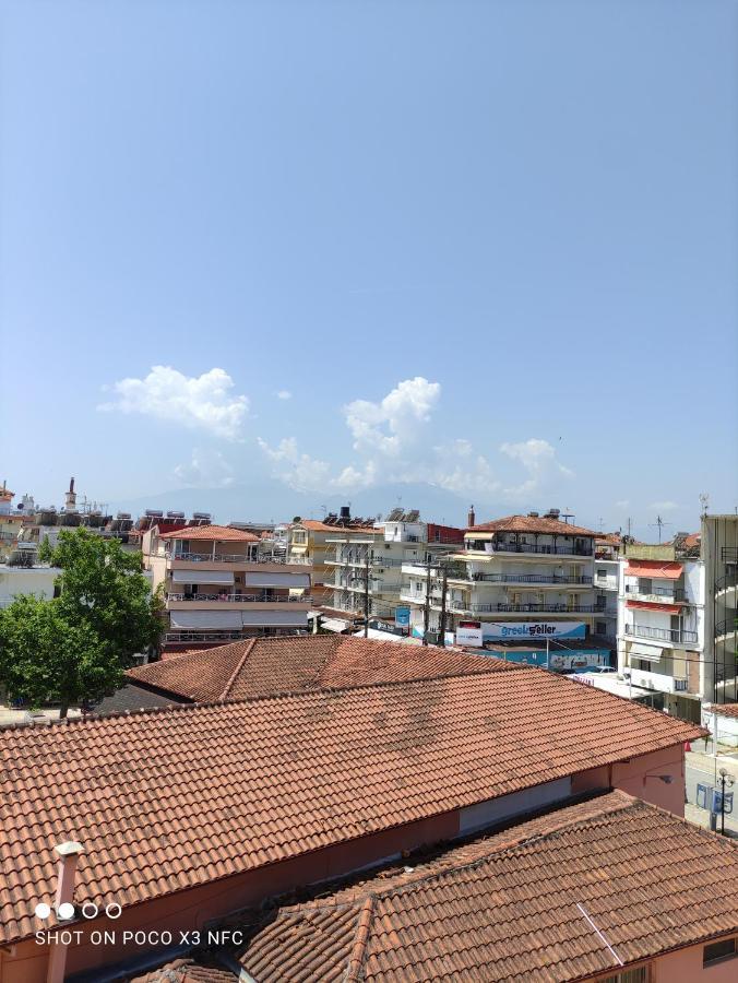 Villa Odyssia Paralia Katerinis Luaran gambar